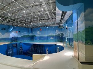 立鎂家墻體彩繪，讓建筑煥發(fā)永恒生
